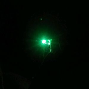 Meet your Posher, Jamell